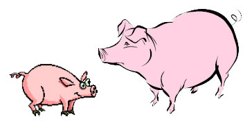 piggly wigglys